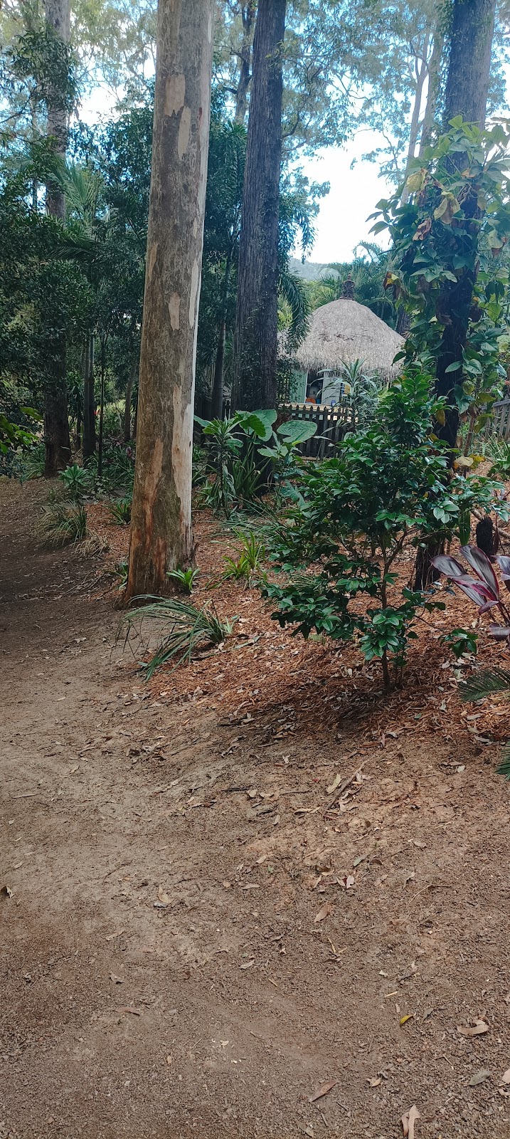 A mulched bush path winding under tall gum trees